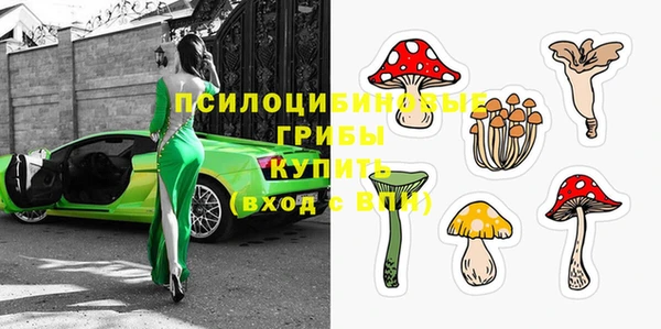 стаф Навашино