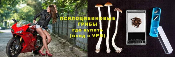 круглые Ельня