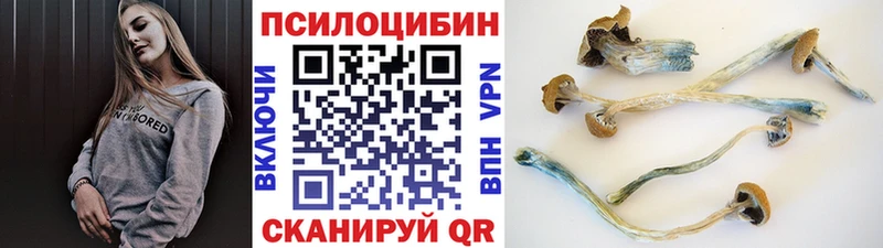 Псилоцибиновые грибы мицелий наркошоп Дудинка